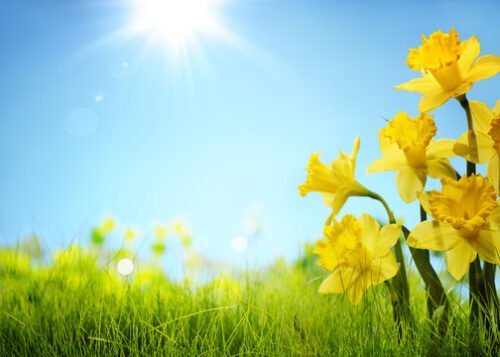 Welcoming Spring and Awakening Gently